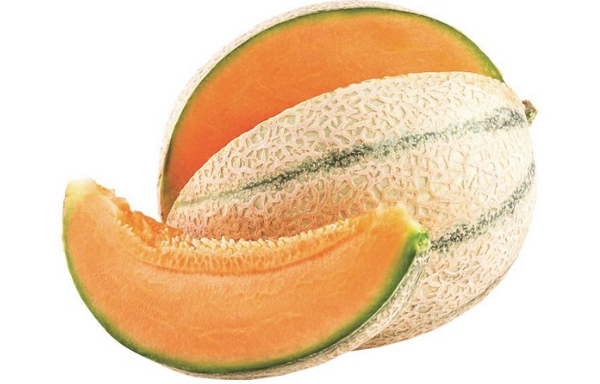 Melone Cantalupo F1