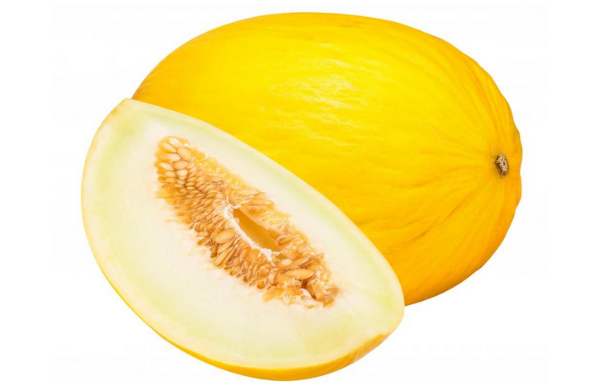 Melone Giallo F1