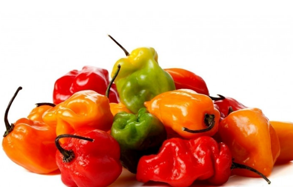 Peperoncino Habanero